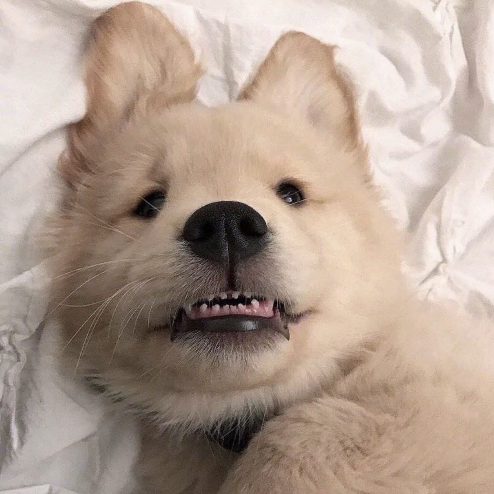 趣值买