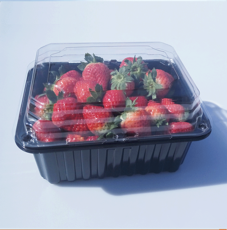 一次性黑色水果盒塑料保鲜盒草莓车厘子苹果龙眼包装1000克2斤装