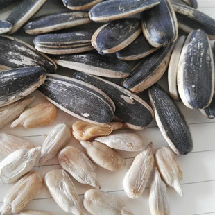 五香 水煮卤味香瓜子五香葵花籽办公室零食小吃促销装包邮 爱加一食品