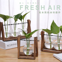 Creative hydroponic green dill plant transparent glass container Simple modern small fresh vase living room decoration