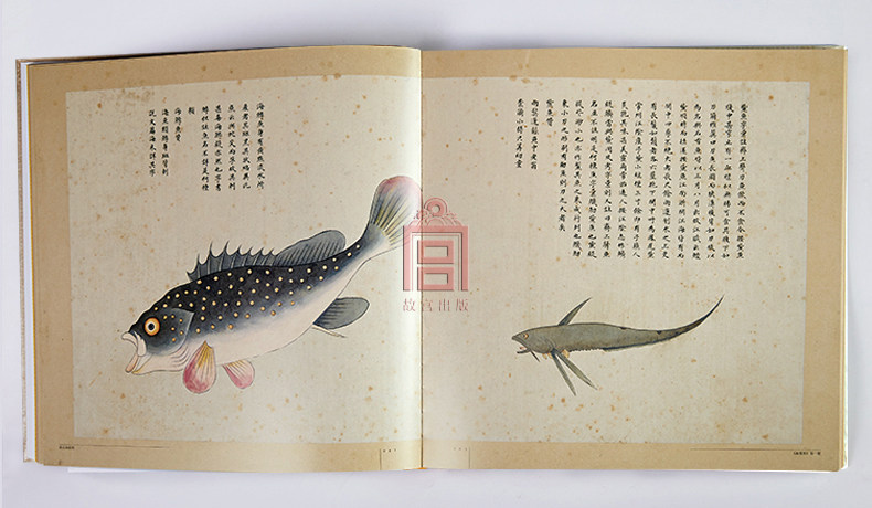 故宫经典系列清宫海错图