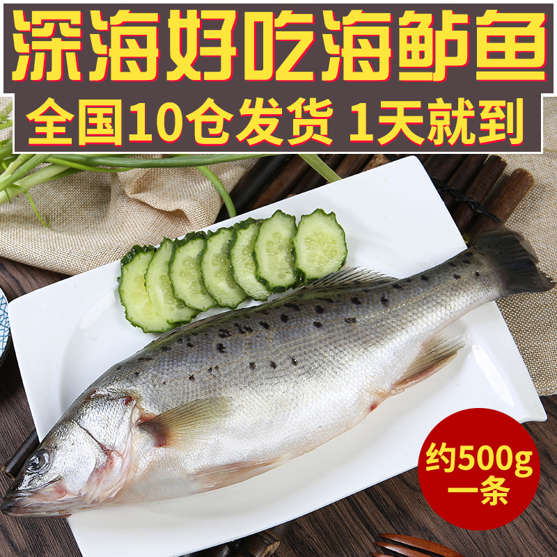 1条/500-600克鲈鱼鲜活海鱼新鲜水产海鲜深海七星花海鲈鱼野生