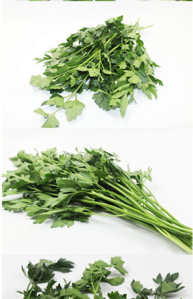 新鲜香芹 番西 荷兰芹 欧芹 西洋芹 摆盘芹 餐厅用料 250g