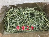 US imported Timothy grass Meti chinchu rabbit Dutch pig Hay forage net weight more than 2 jin province