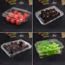 Water Fruit Shop Packing Box Disposable Dragon Eye Car Centeer Pack Box Fruit Transparent with lid environmentally-friendly fruit and vegetable preservation box