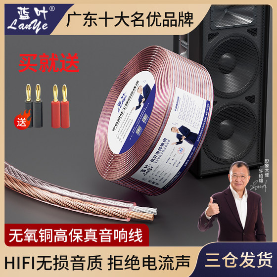 Audio connection power amplifier audio line 100200300 core speaker line horn surround line home improvement project line Audio connection power amplifier audio line 100200300 core speaker line horn surround line home improvement project line