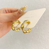 Spiral Twist Metal Earrings 2021 New Tide Korea Temperament Net Red East Gate Earrings Design Sensation Earrings