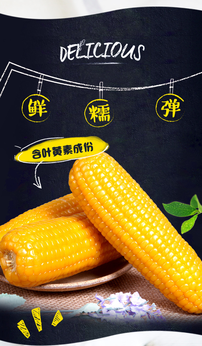 【万全玉米】新鲜甜糯玉米真空黏粘老玉米棒现摘黄苞米即食10根