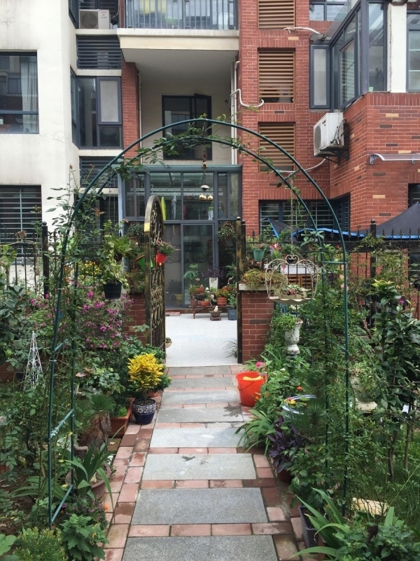 花园| 从无到有的小园子