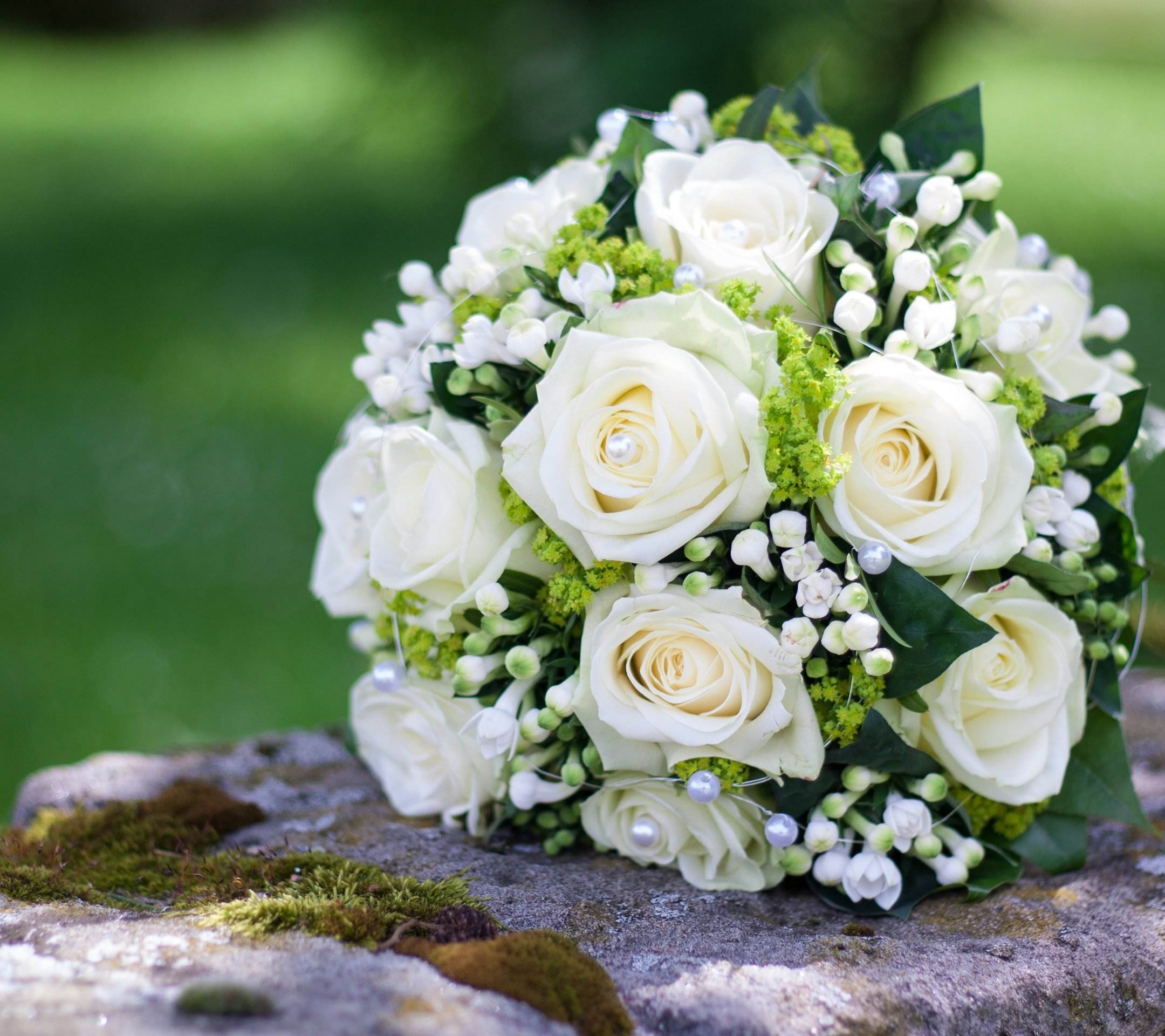 经验| 收到鲜花如何延长花期