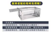 Mouse cage in a nest of rat catching artifact household powerful continuous catching rat clip cracker high efficiency indoor