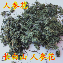 Long White Hills Area Of Origin Ginseng Flower Stick Flower White Ginseng Flower Sundried Ginseng Flower Ginseng Flower Ginseng Flower White Ginseng Flower White Ginseng Flower