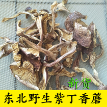 Northeast Wild Lilac Mushroom Mushroom Mushroom Lilac Wild Lilac Wild Mushroom Lilac Mushroom