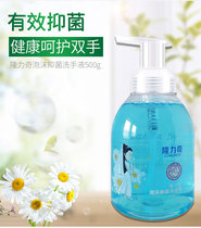 Longli Chiyang Chamomile Foam Bacteriostatic Hand Sanitizer Cleaning Children Adult Large Bottle Commercial Home Clothing 500ml