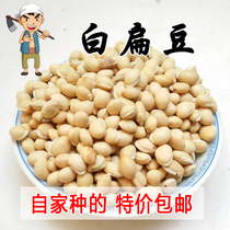 Taihang mountain farm White lentils 500g selection of deep mountain farm pure natural natural cooked medicinal herbs miscellaneous grains