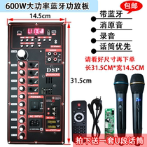 High Power Power Amplification Board Deliver U Section Wireless Microphone Square Dance Outdoor Sound Retrofit the main board with Bluetooth SOUNDTRACK