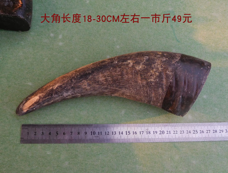 优米莱老牛角原料黑水牛角白水牛角牦牛角实心牛角尖弹公料原材料