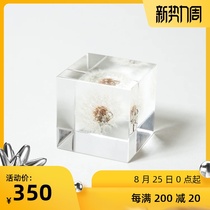 Capture the natural cosmic cube Sola Cube Millennium Kyoto craftsmans work Usagi no Nedoko