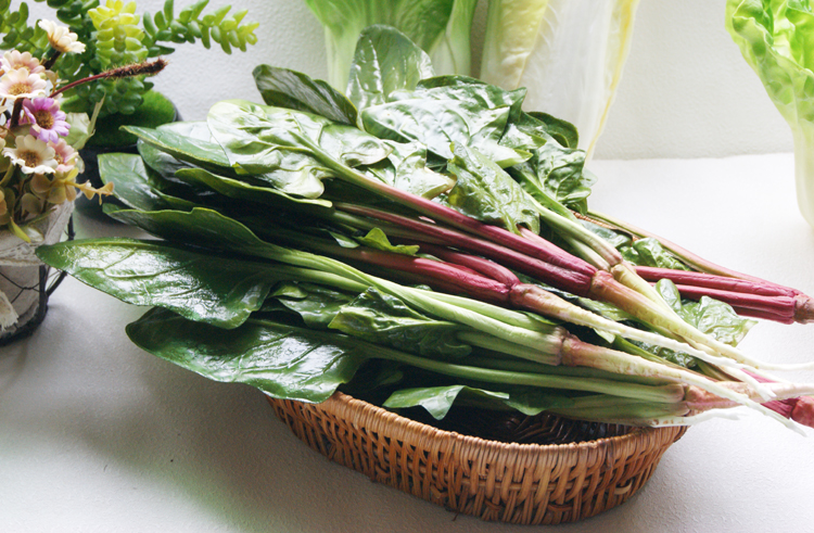 仿真水果蔬菜 仿真菠菜 假椰菜 酒店装饰摆饰 欧式风格田园小调