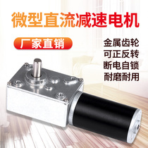 Factory Supplied 5840 Gearbox 31ZY Wormwheel worm with Self-Locking Drapery Machine Mini DC Reduction Motor