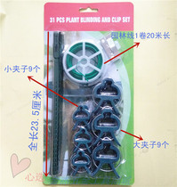 Special offer New newly listed 31PCS garden set Garden grafting plant clip Garden fishbone thorn clip