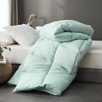 Soybean quilt quilt quilt core double winter quilt student dormitory quilt 150 × 200 × 230
