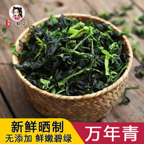 Farmhouse homemade evergreen dried dehydrated organic vegetables tender vegetables heart dried rape dried rape dry local specialty 500g