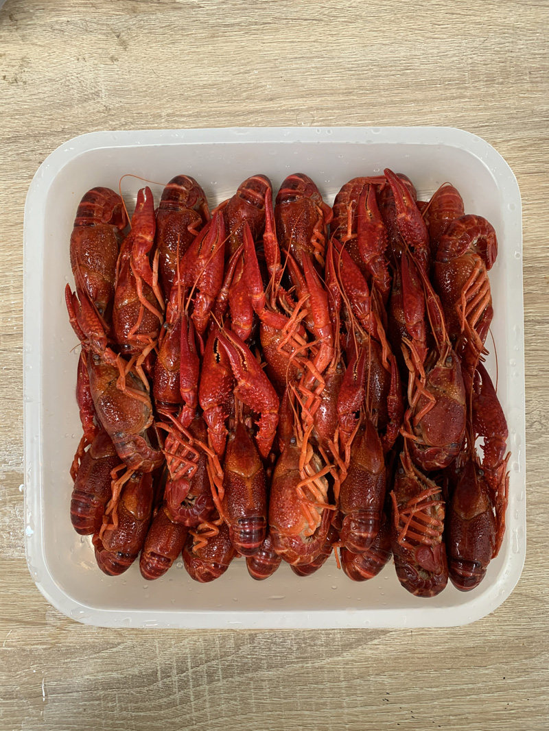 2021潜江鲜活速冻小龙虾液氮速冻清水虾456钱规格30斤起售货源充足