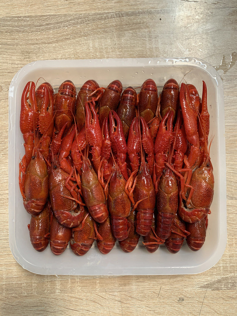 2021潜江鲜活速冻小龙虾液氮速冻清水虾789钱规格30斤起售货源充足