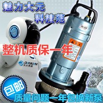 Dayuan Submersible Pump Household Well Pump 220V380V Industrial Agricultural Irrigation High Head Pump Pump Pump