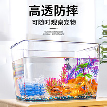 Transparent plastic fish tank living room desktop ornamental goldfish tank thickened super white ecological anti-fall turtle feeding box