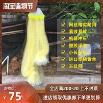 Old fishing Weng Three-layer Beijing yellow silk dense net White bar net strengthen glue wire Small fish meal fishing sink sticky net Hanging net Floating dip net