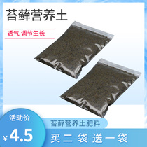 Moss special nutrient soil dry moss dry moss water Moss nutrient soil moss plant moss plant Moss moisturizing substrate soil 200g