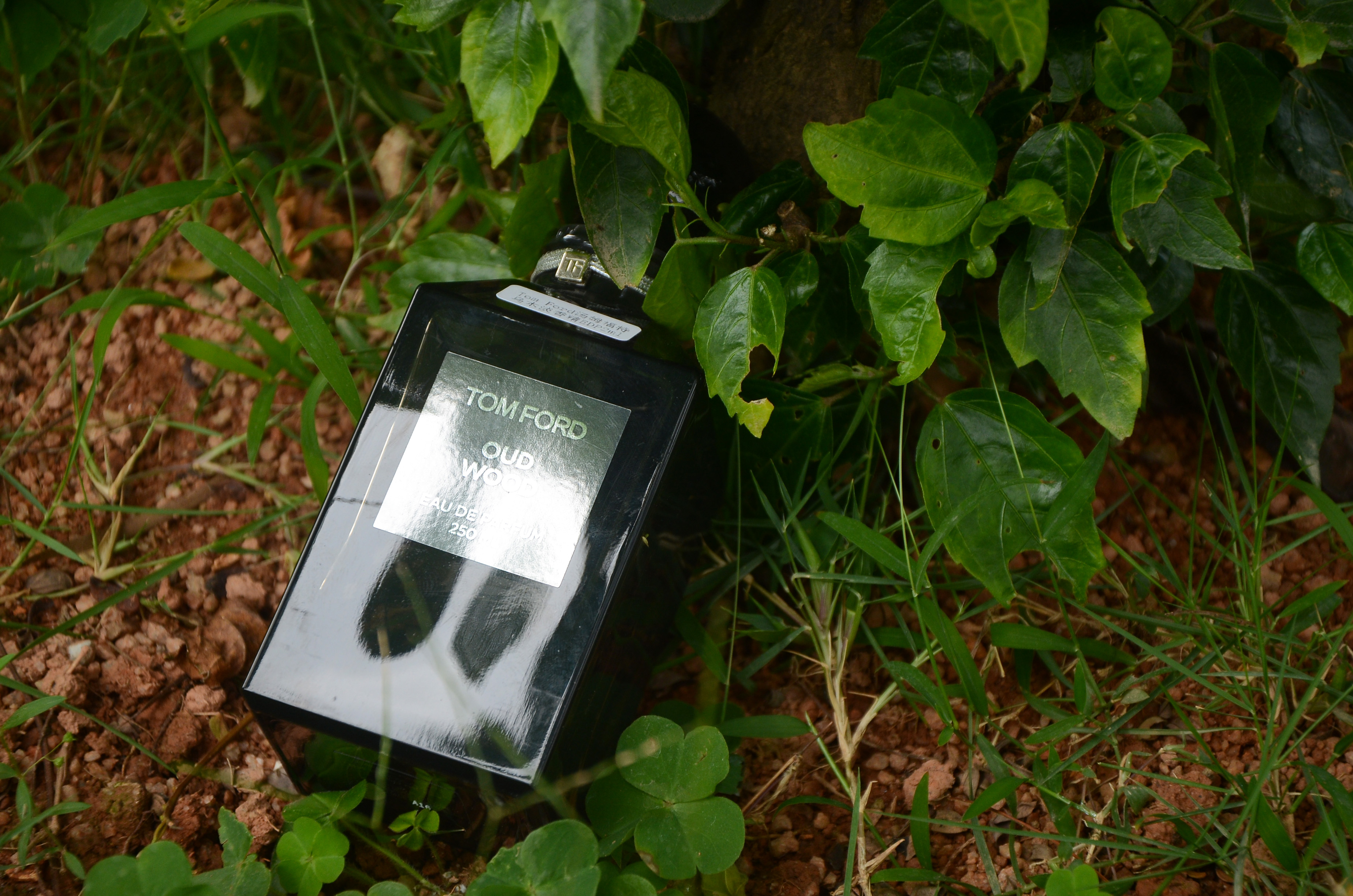 tom ford汤姆福特 oud wood 乌木淡香精edp50/100ml 分装