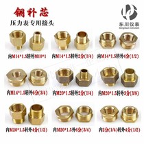 Pressure gauge adapter copper core change neck M14 to M10 (2 points and 4 points)M20 to 2 points(3 points and 4 points etc