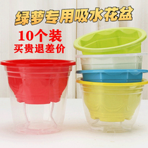 Green dill special flowerpot plastic thickened automatic absorbent transparent lazy flowerpot creative indoor special water storage flowerpot