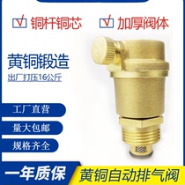 Brass exhaust valve heating automatic bleed valve Silk Port tap water pipe HVAC vent valve 4 points 6 points