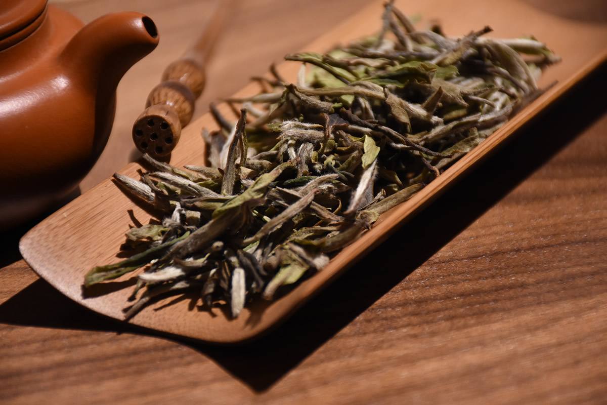 你的白茶可能会出现这些不良口感1