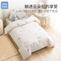 Childrens quilt Autumn and winter thickened baby cotton spring and autumn quilt Winter kindergarten winter quilt winter quilt core quilt