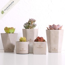 Yunnan straight hair succulents flower pots Cement pots Custom porcelain pots Creative meat ceramic pots succulents flower pots