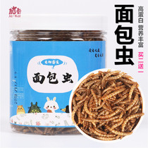 ja-kal Gaca Hamster Bulk Breadworm Dry Yellow Powder Worm Nutritional Protein Crispy Tasty Snacks