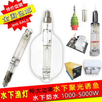 High-power Quartz Fishing Metal Halide Lamp Aerial Underwater Waterproof Fishing Lure Fishing Lamp Lighting Boat Fishing Lamp Head