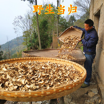 Wild Whole Angelica 500g Angelica Wild Premium Angelica Head Angelica Tablets Non-angelica Astragalus