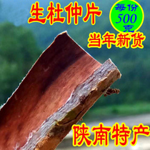 Wild Eucommia bark 500g Large pieces of Eucommia herbs to coarse skin Chinese herbal medicine Eucommia bark bubble wine salt fried eucommia powder