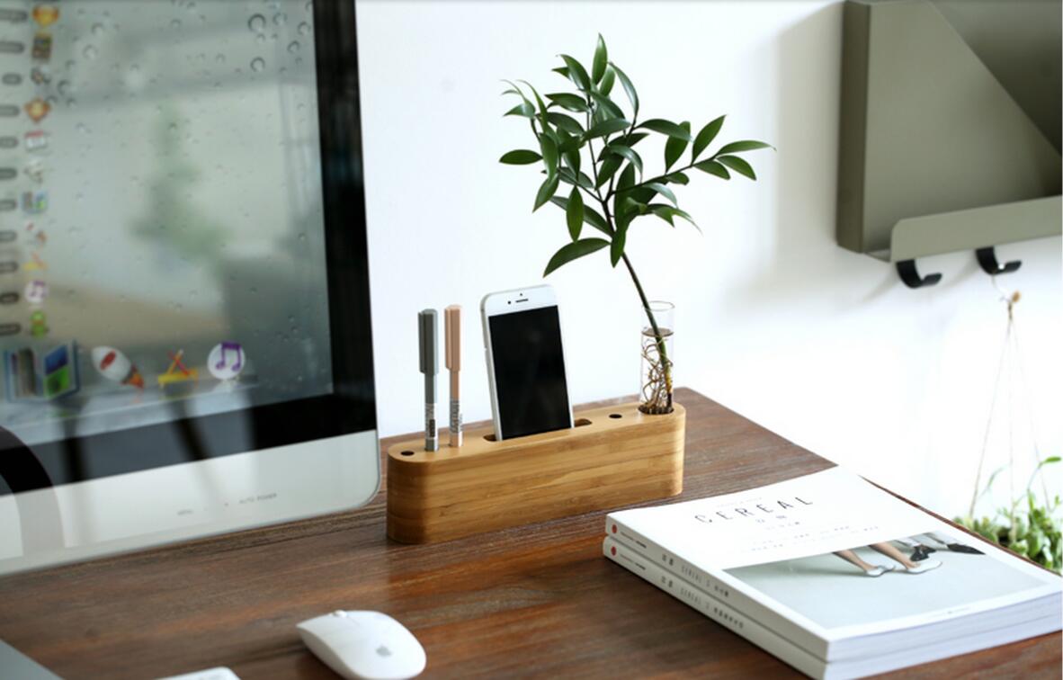 绿植陪伴书桌— 78 —适合在桌面养护的发财树,陪伴着你每一次的