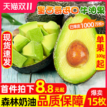 Mexico imported avocado 15 fresh fruit big fruit whole case of instant instant avocado avocado avocado sweet