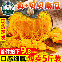 Beibei pumpkin chestnut flavor small pumpkin seasonal fresh fruits and vegetables whole box 5kg farm powder waxy sweet wholesale 10