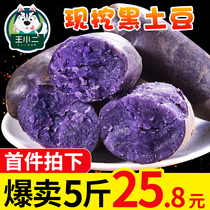 Wang Xiaoer Shandong Black Potato Fresh Purple Potato Potato 5 Jin Vegetable Wholesale