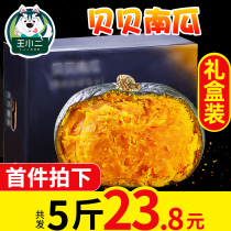 Wang Xiaoer Beibei Pumpkin Gift Box Fresh Sweet Chestnut Flavor Farmhouse Self-grown Small Vegetable Wholesale 5 Jin