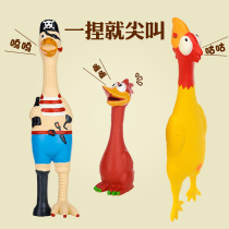 Dog toys screaming chicken screaming desperate chicken puppies grind teeth resistant to bite Teddy puppies toy pet supplies